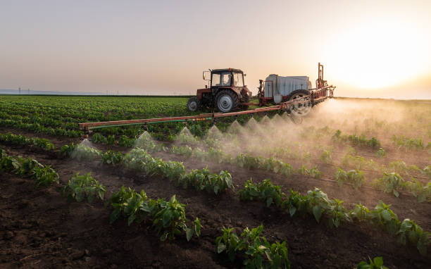 Pest Control Cost in Britt, IA