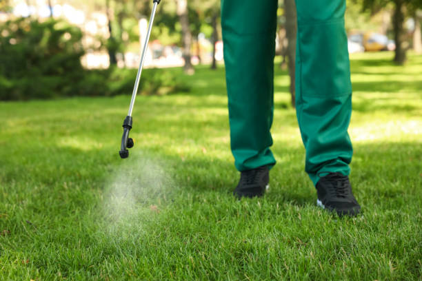 Best Termite Control Services  in Britt, IA