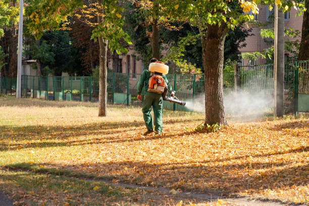 Best Commercial Pest Control Services  in Britt, IA