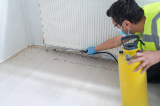 Best Pest Removal Services  in Britt, IA