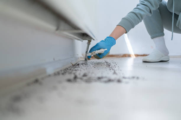 Best Best Pest Control Companies  in Britt, IA