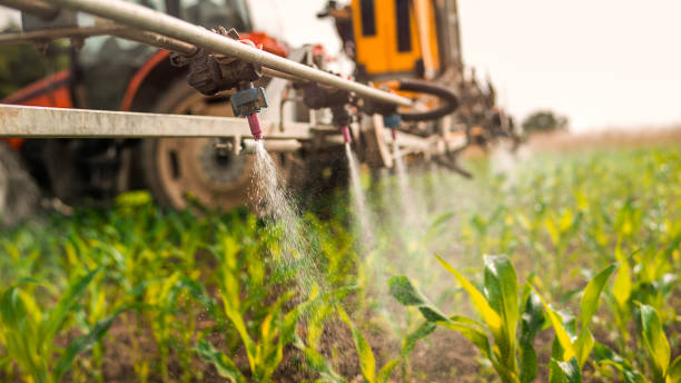 Best Pest Prevention Services  in Britt, IA