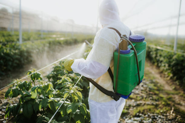 Best Pest Control Near Me  in Britt, IA